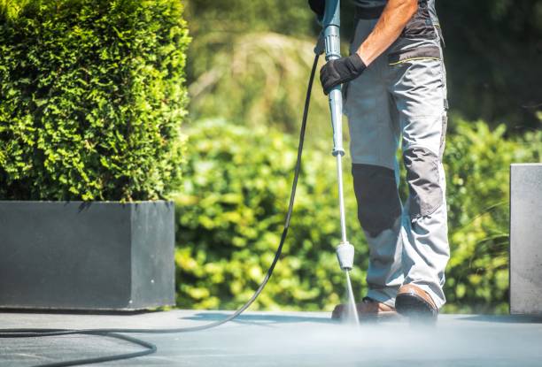 Best Building Exterior Washing  in Pelican Rapids, MN