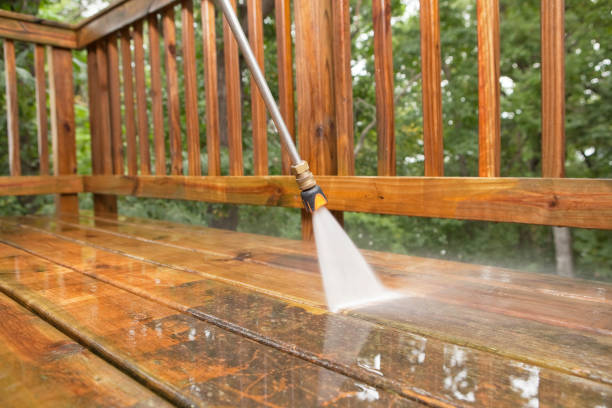 Best Fence Cleaning  in Pelican Rapids, MN